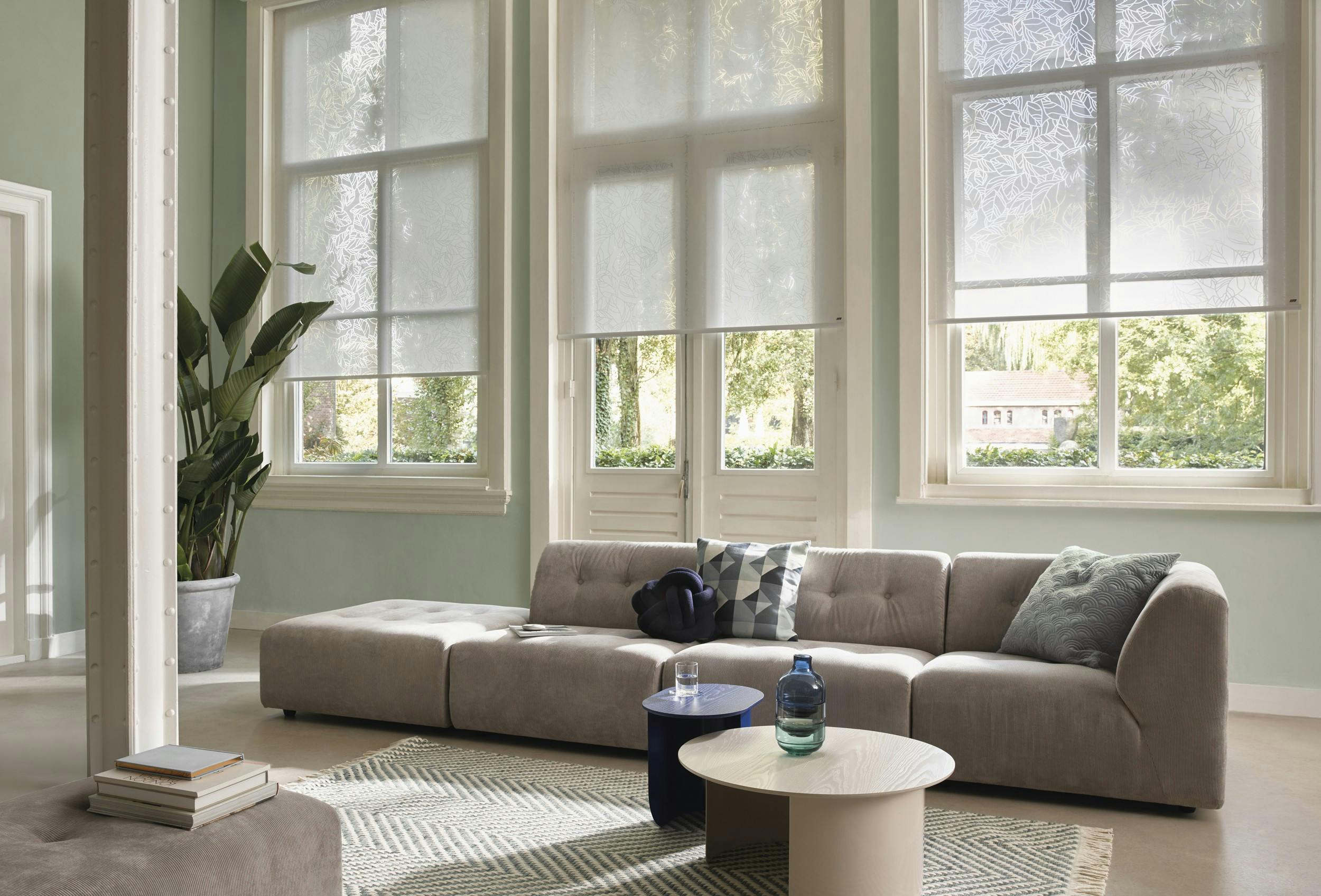 Roller blinds close-up